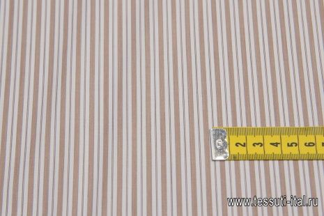 Сорочечная (н) бело-коричневая полоска - итальянские ткани Тессутидея арт. 01-6089